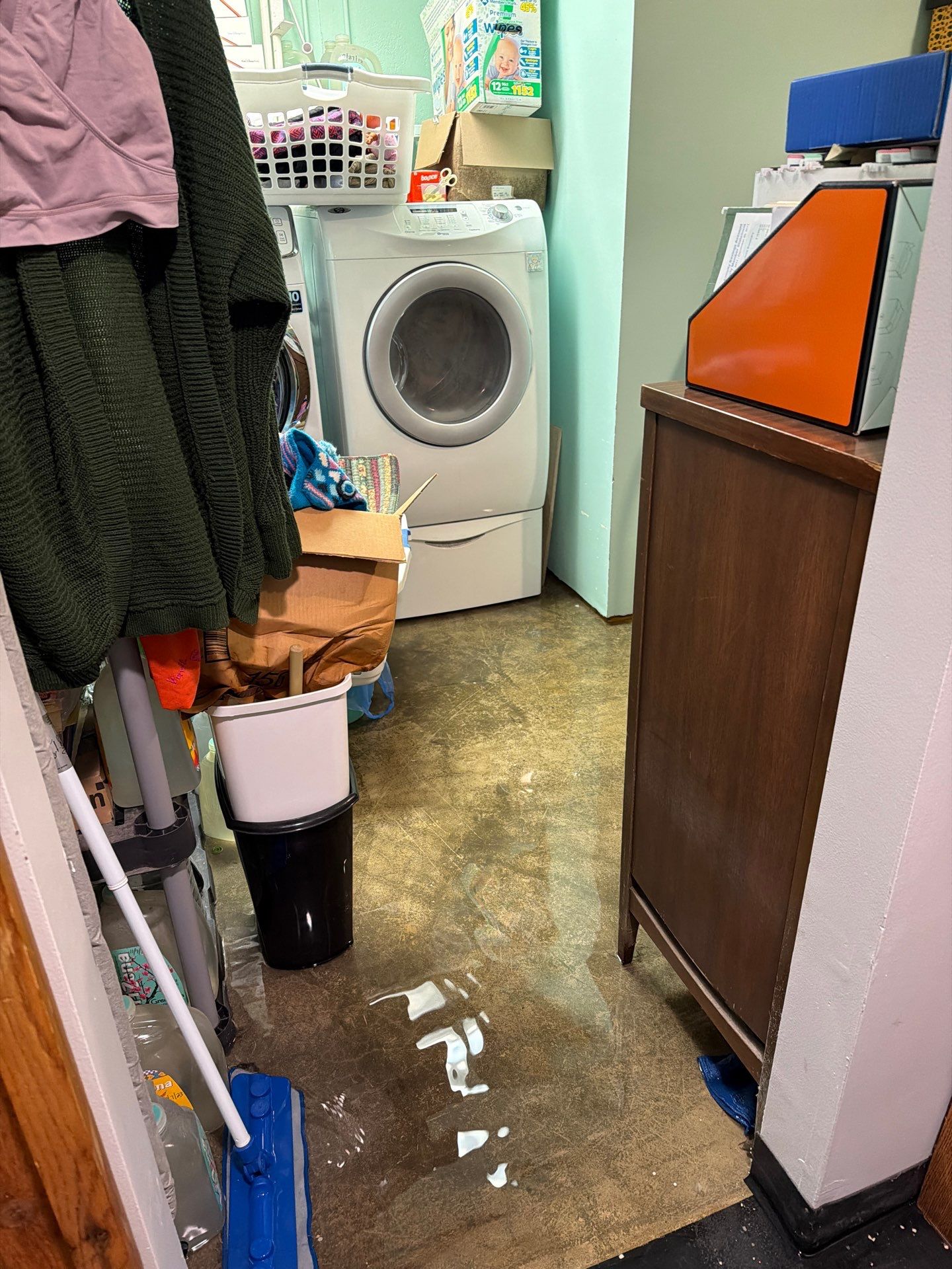 Basement Flooding in Selma: Emergency Q&A Guide