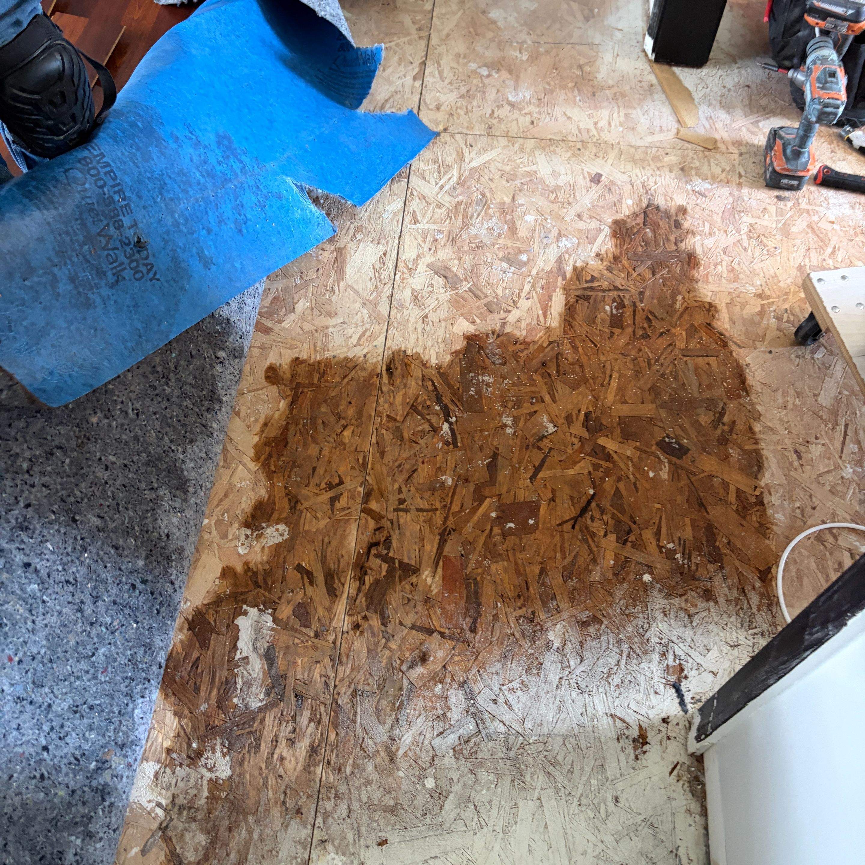Same Day Water Damage Service in Selma: Fast Drying